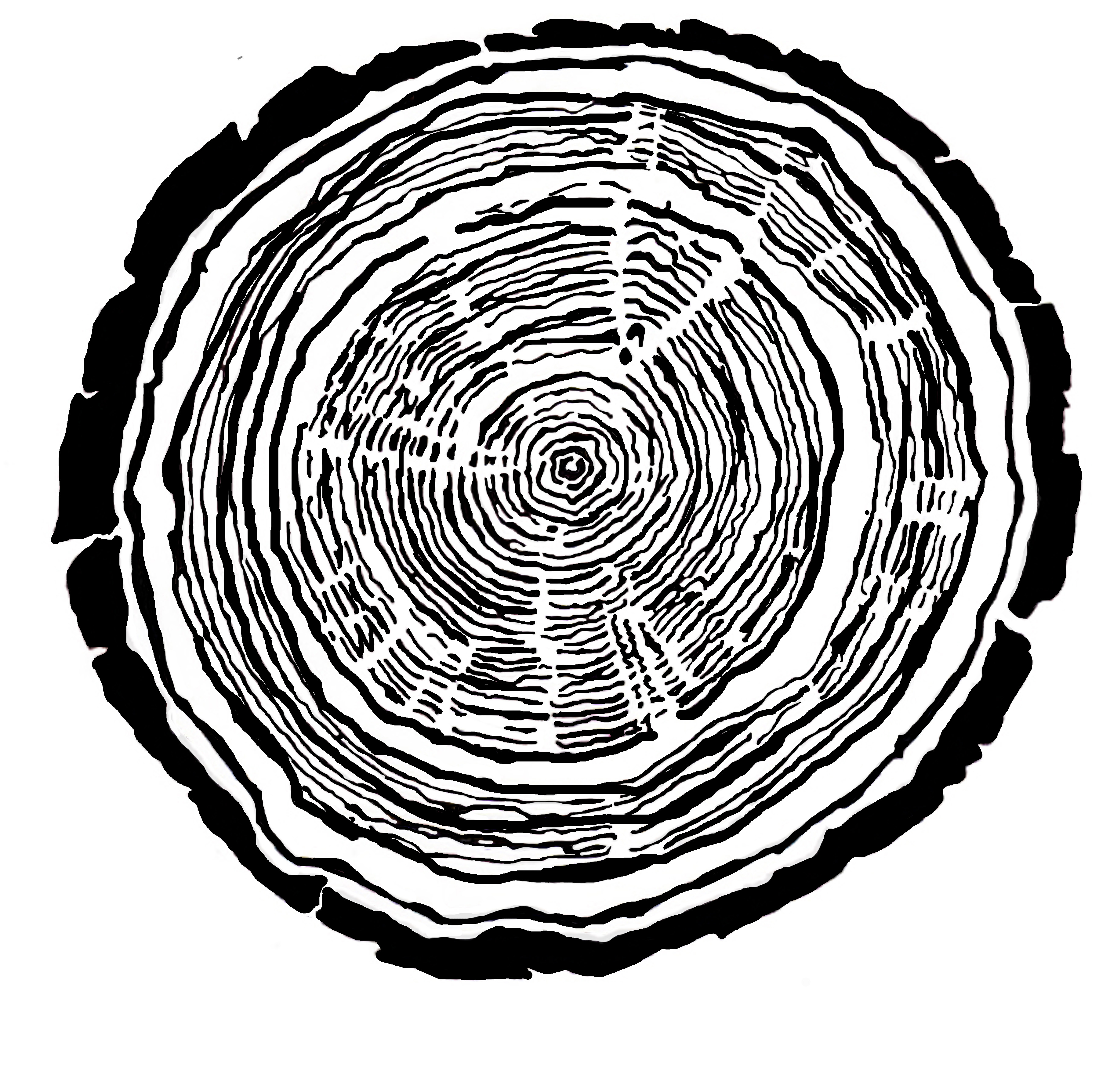 Wood Rings