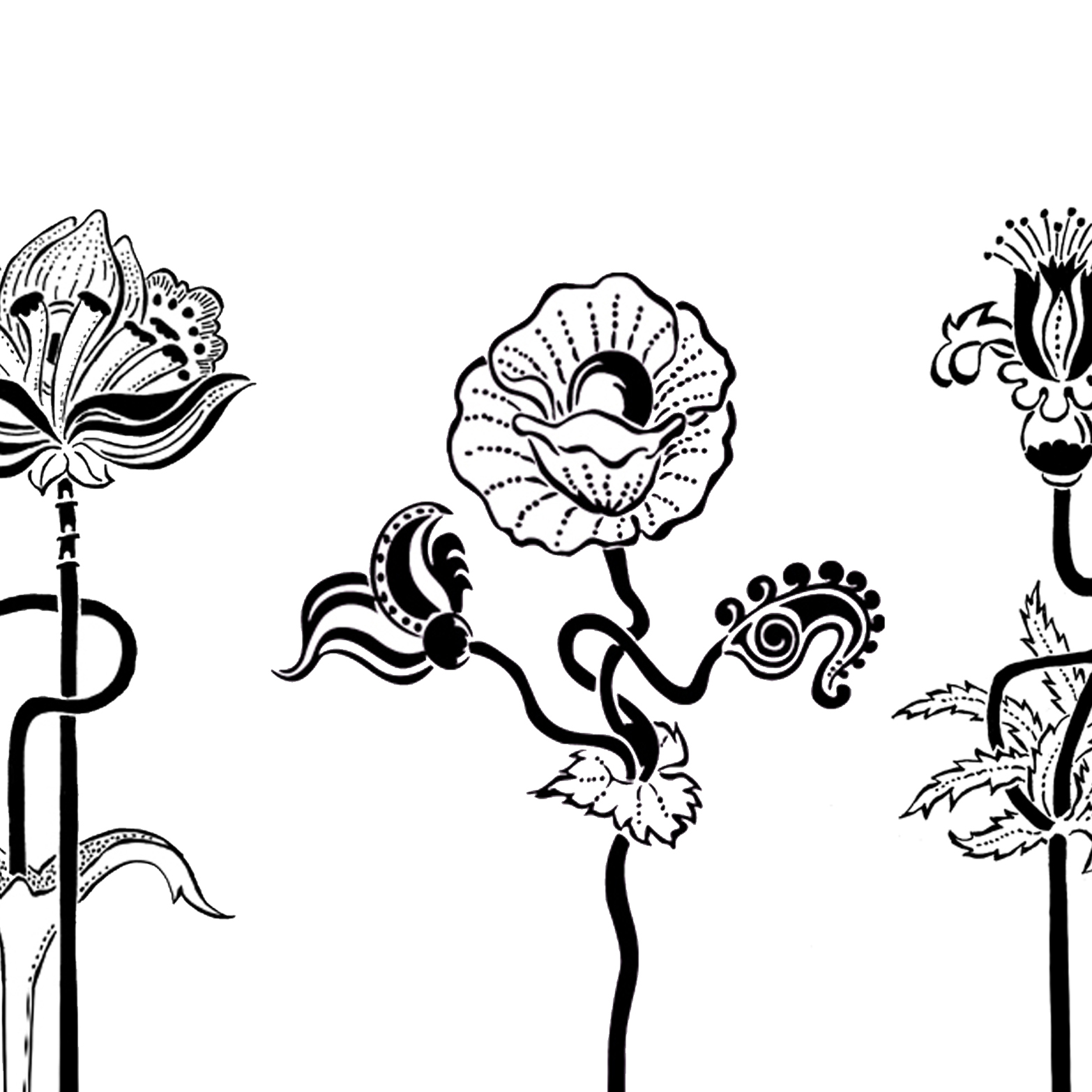 Funky Flowers