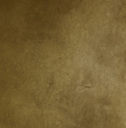 Tanned Leather
