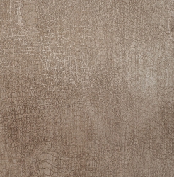 Elephant Skin