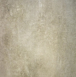 Elephant Skin